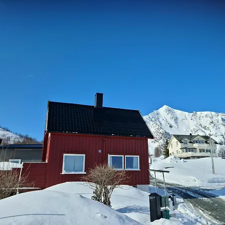 Inaktiv * Stor-Elvdal
