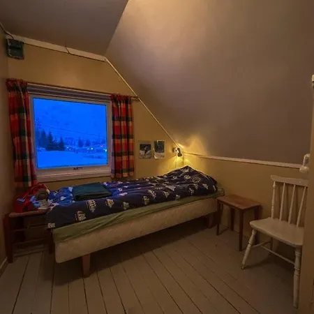 Inaktiv * Stor-Elvdal