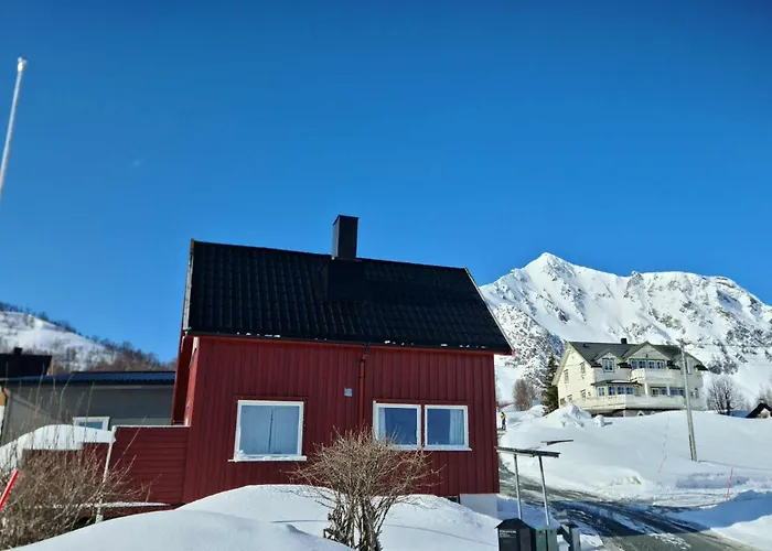 Inaktiv * Stor-Elvdal